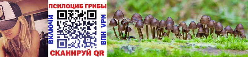 Галлюциногенные грибы Cubensis Кизляр